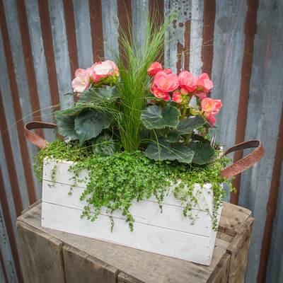 Wood Box Planter from Marion Flower Shop in Marion, OH